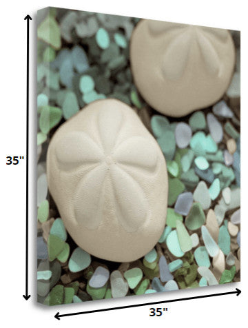 12" Two Sandollars and Seaglass 4 Giclee Wrap Canvas Wall Art