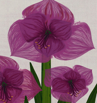 Amaryllis, Floral Print Placemat, Purple (Set of 4), 18 x 14"