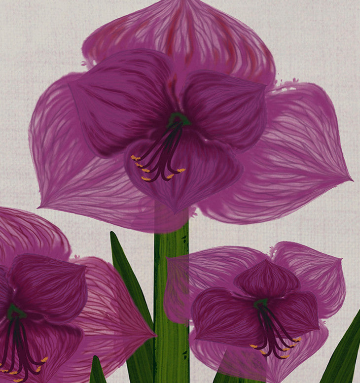 Amaryllis, Floral Print Placemat, Purple (Set of 4), 18 x 14"