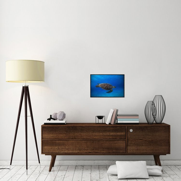 "Green Turtle In The Blue" Framed Canvas Giclee by Barathieu Gabriel, 23x16"