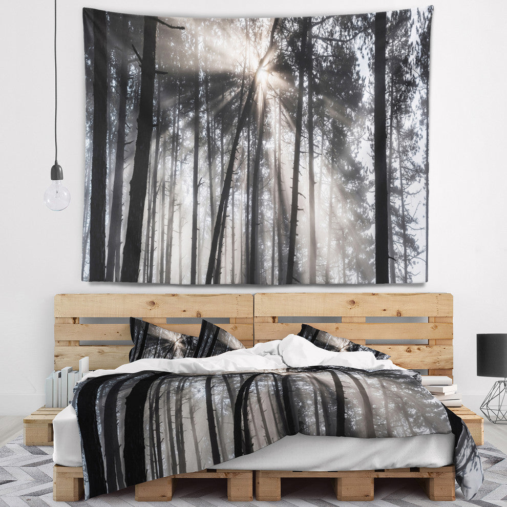 Sunbeams through Black White Forest Forest Wall Tapestry, 39"x32"