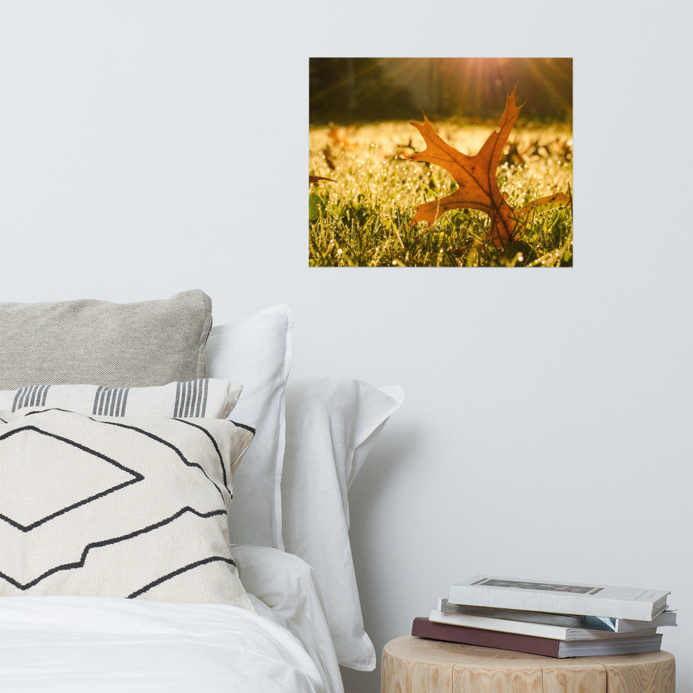 Fall Leaf in Morning Sun - Autumn Nature Photograph Unframed Wall Art Print, 16" X 20"