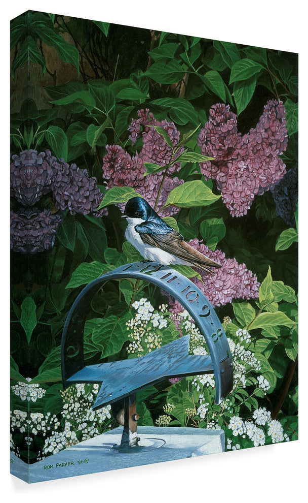 Ron Parker 'The Sundial' Canvas Art, 47"x35"