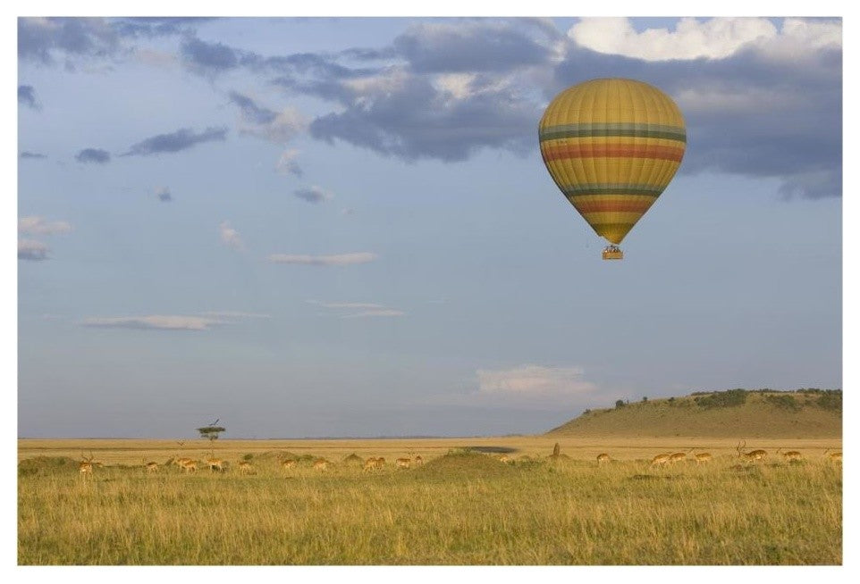 "Hot air balloon flying over herd, Masai Mara Triangle" Paper Art, 26"x18"