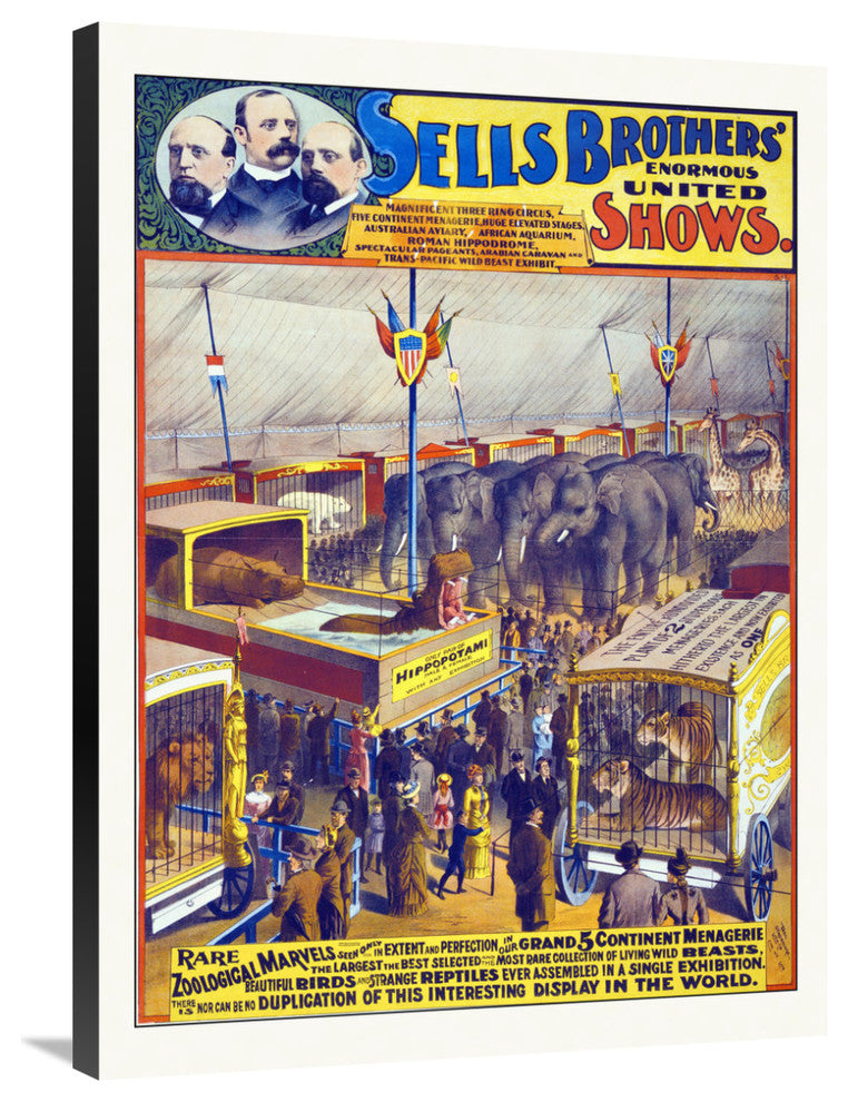 Sells Brothers' Enormous United Shows,, Rare Zoological Marvels, 1895, 26x36