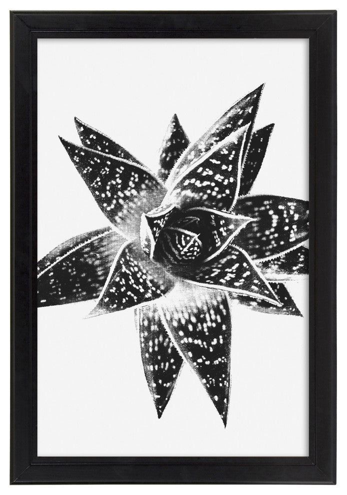 Kieva Solid Wood Picture Frame Set, Black 4x6, Black, 11x17