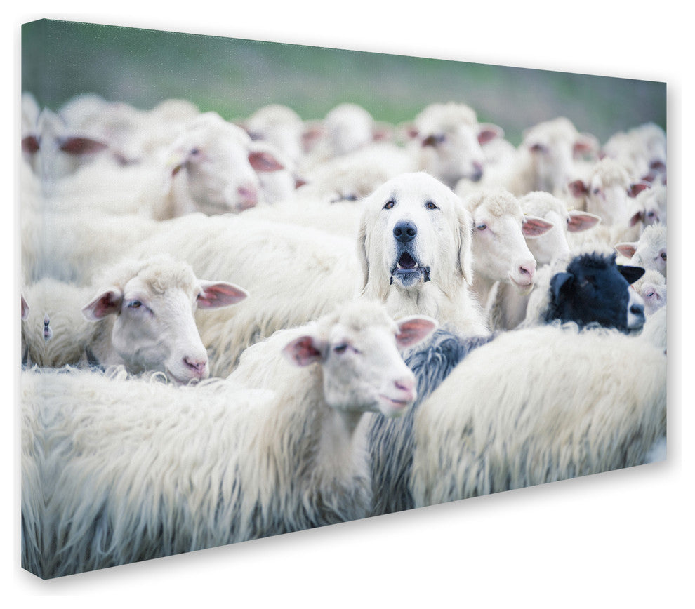 Adrian Popan 'In Disguise' Canvas Art, 47 x 30