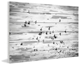 "Birds in Flight" Print on White Wood, 45"x30"