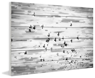 "Birds in Flight" Print on White Wood, 45"x30"