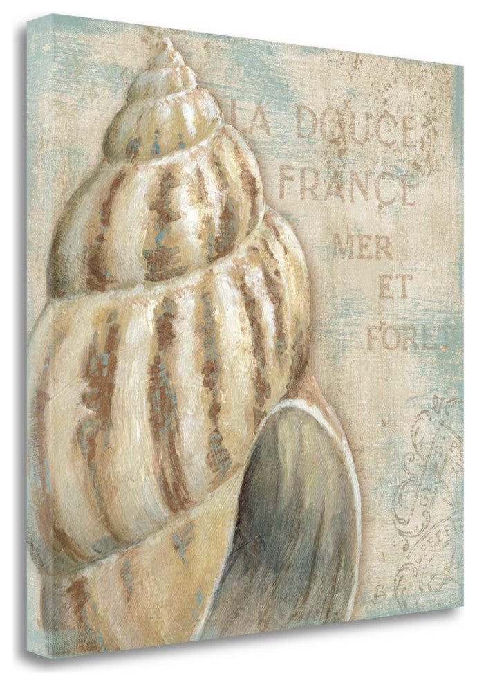 Rustic French Seashell 1 Giclee Wrap Canvas Wall Art