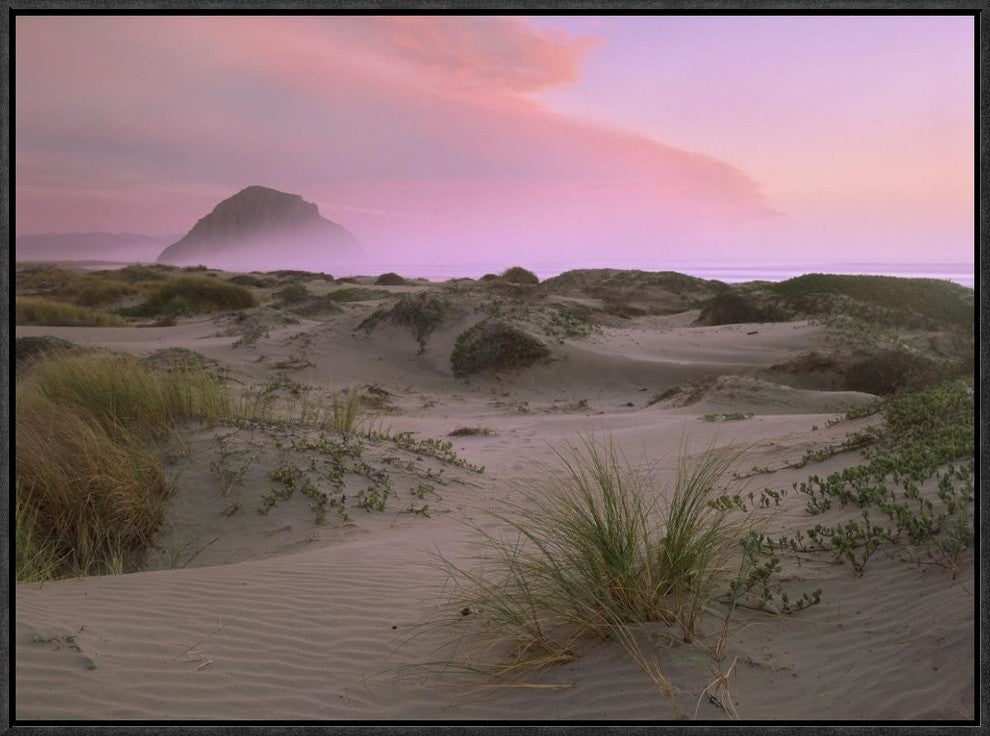 "Morro Rock at Morro Bay, California"  by Tim Fitzharris, 25x19"
