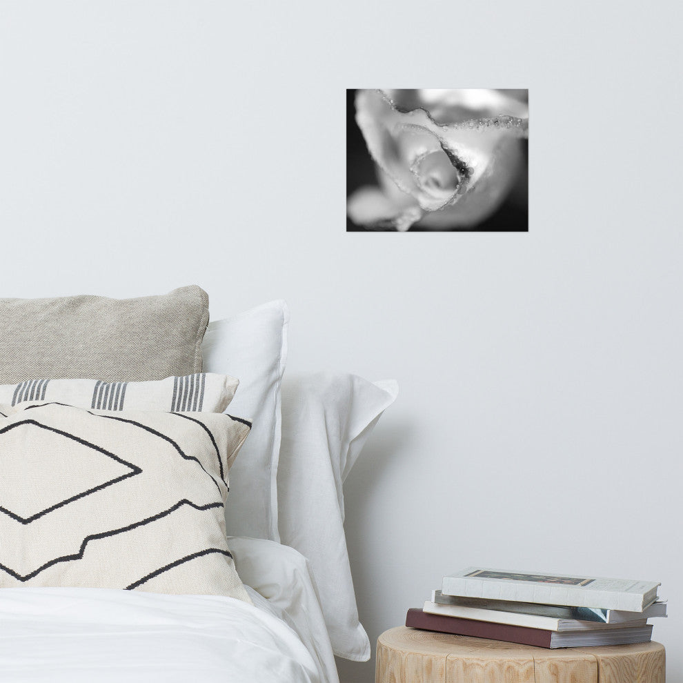 Infrared Rose Nature Photography, Floral Unframed Wall Art Print, 11" X 14"