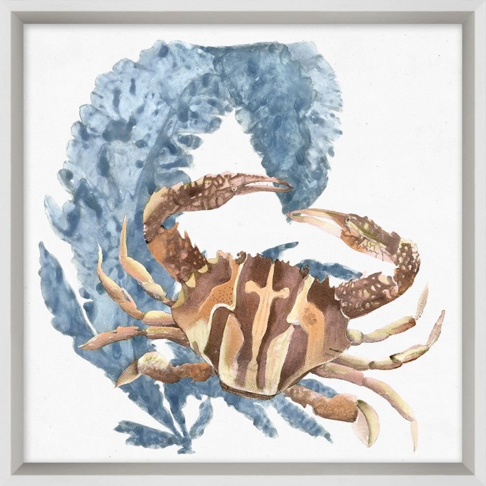 Aquatic Assortment 9, Giclee Reproduction Artwork