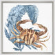 Aquatic Assortment 9, Giclee Reproduction Artwork
