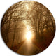 Path To Sunlight In Autumn Forest, Landscape Photo Round Wall Art, 11"