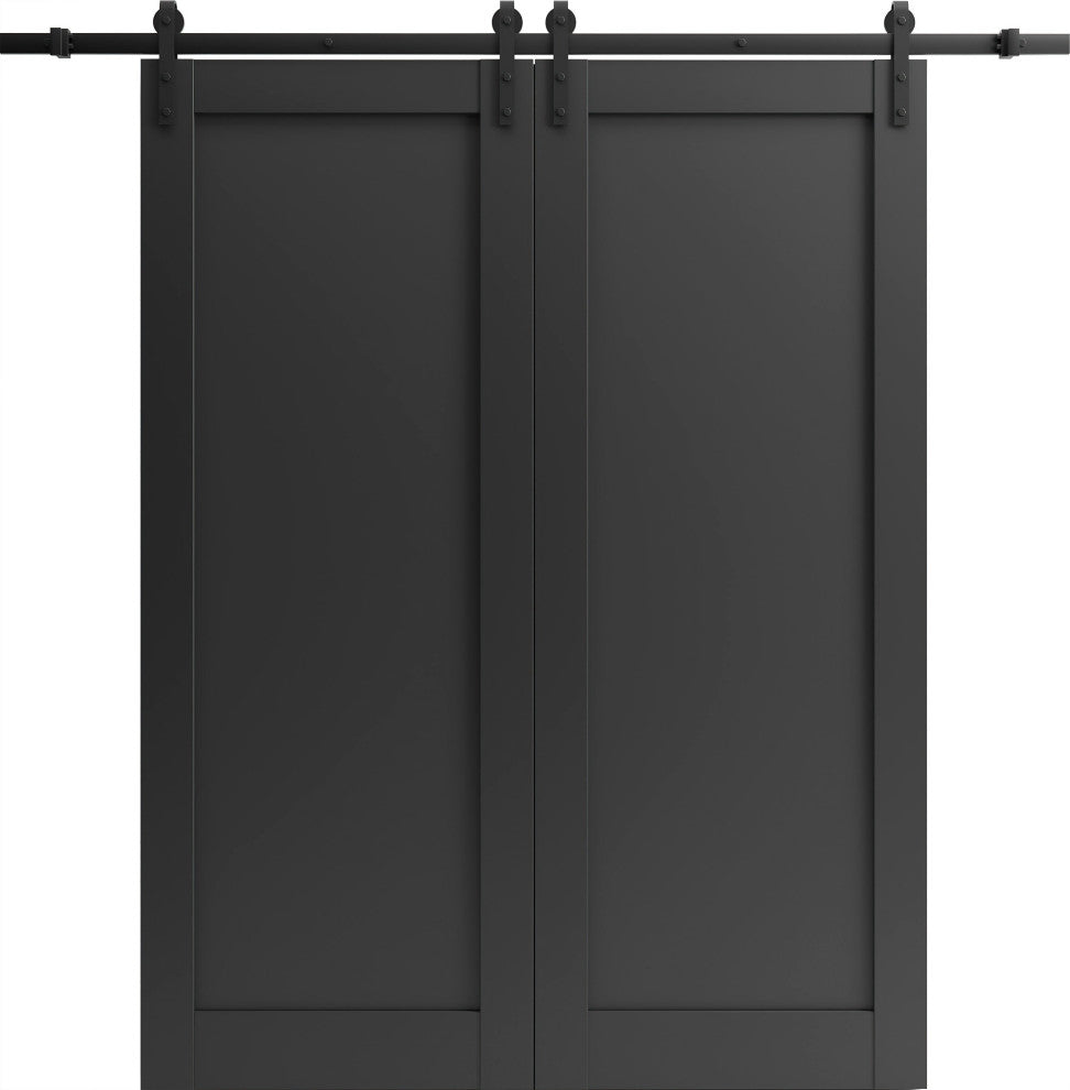 Double Barn Door 60 x 80, Quadro 4111 Matte Black, 13'