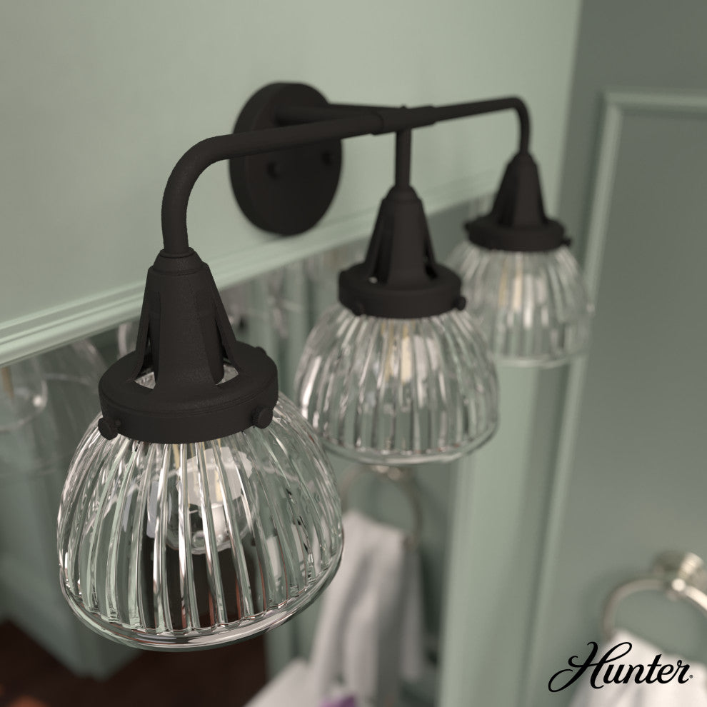 Hunter Cypress Grove Natural Iron 3 Light Vanity Wall Light