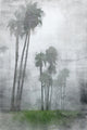 "A Foggy Morning" Painting Print on Wrapped Canvas, 40x60