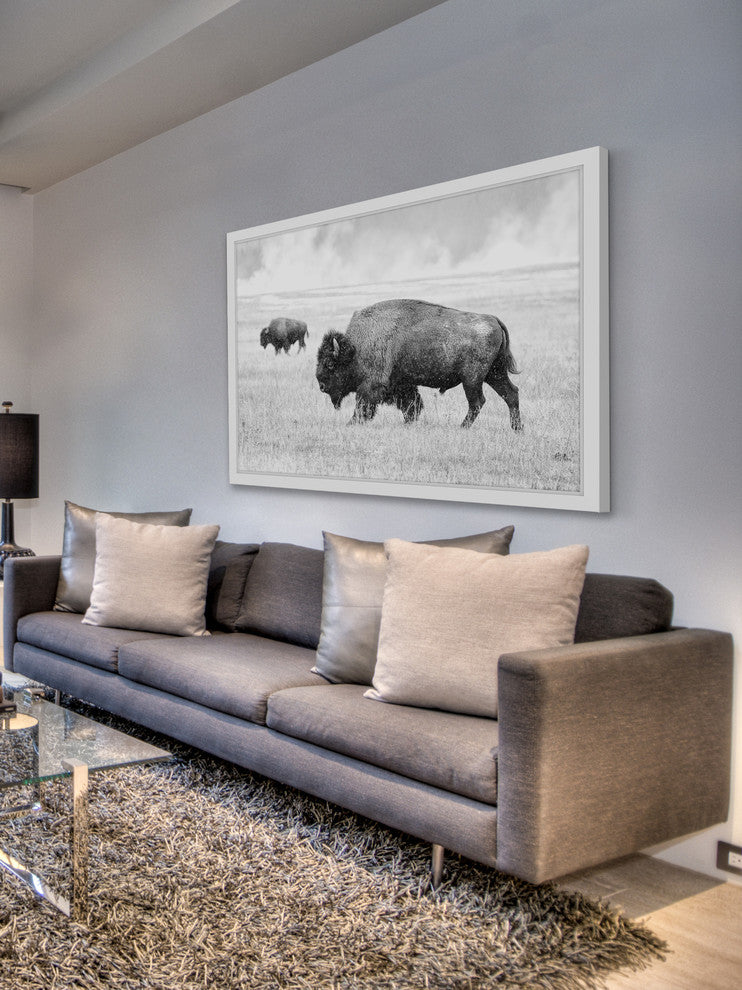 Marmont Hill, "Buffalo Pair" Framed Painting Print, 18x12