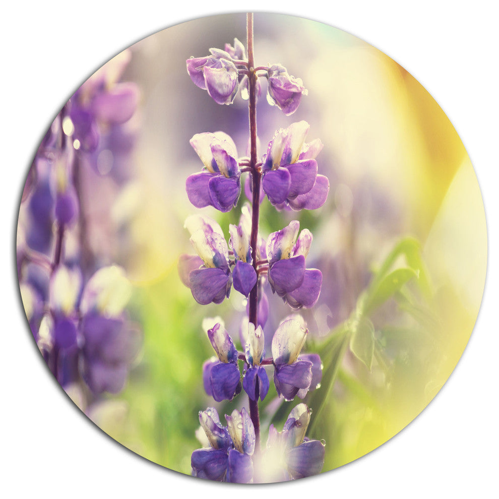 Beautiful Close-Up Of Blue Lupin Flowers, Flower Round Wall Art, 23"
