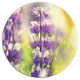 Beautiful Close-Up Of Blue Lupin Flowers, Flower Round Wall Art, 23"