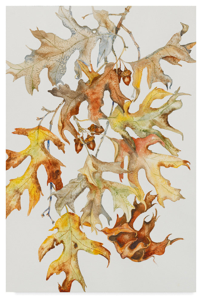 Joanne Porter 'Rust Colored Oak Leaves' Canvas Art, 32"x22"