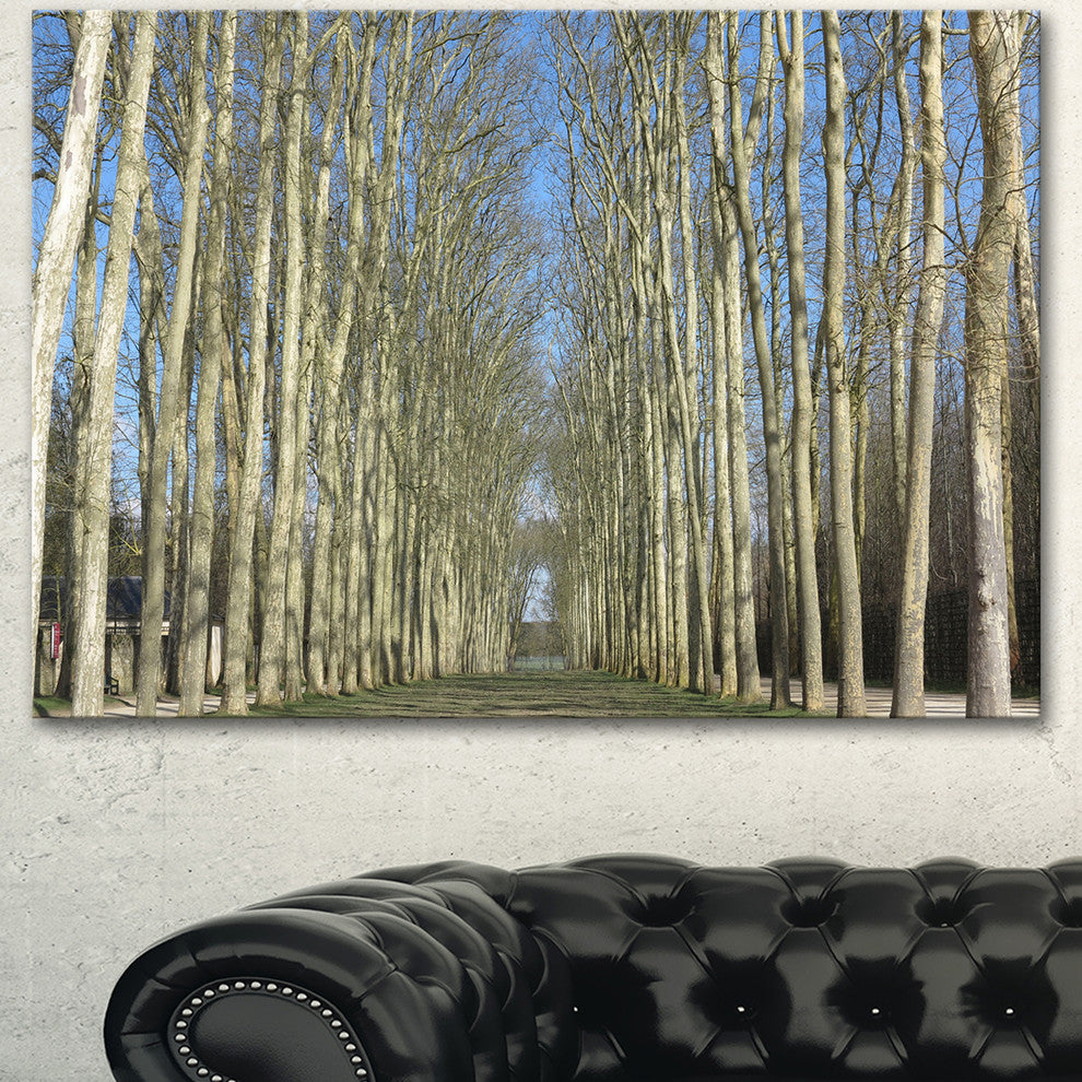 Gardens of Palace Versailles, Modern Forest Canvas Art, 40"x30"