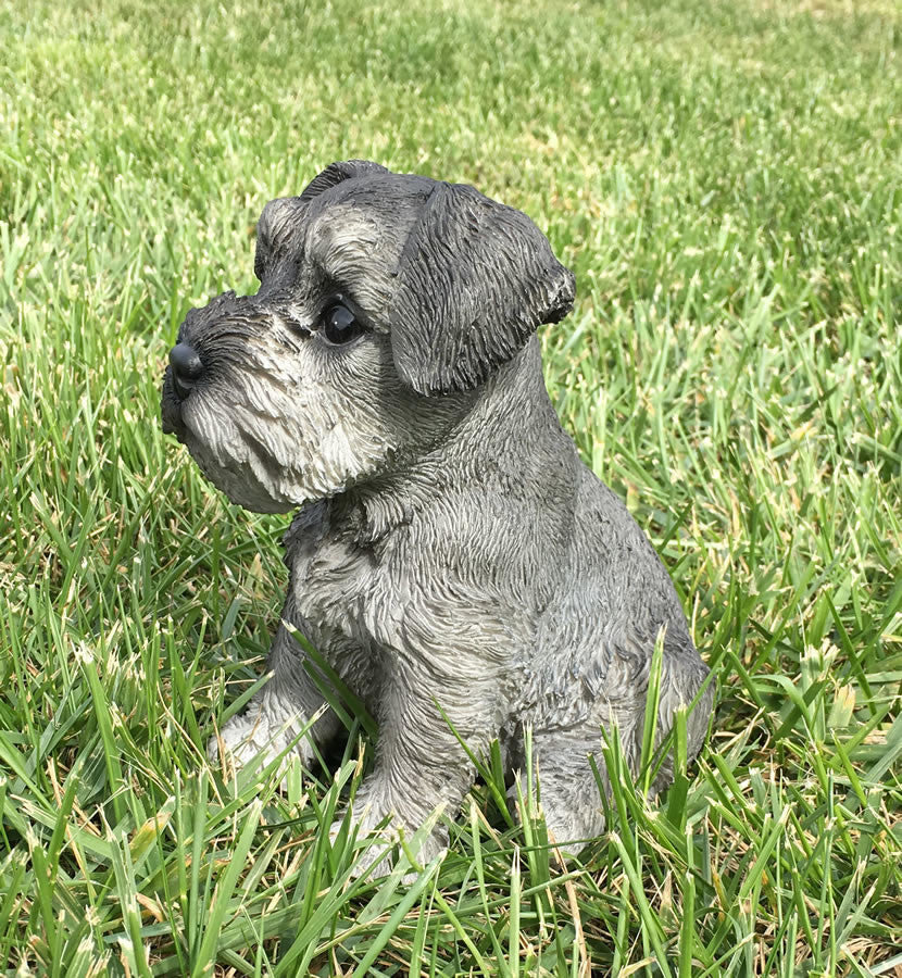 Realistic Miniature Schnauzer Puppy Garden Statue