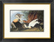 "Eider Duck" Framed Digital Print by John James Audubon, 26"x20"