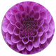 Light Purple Flower And Petals, Modern Floral Round Wall Art, 11"