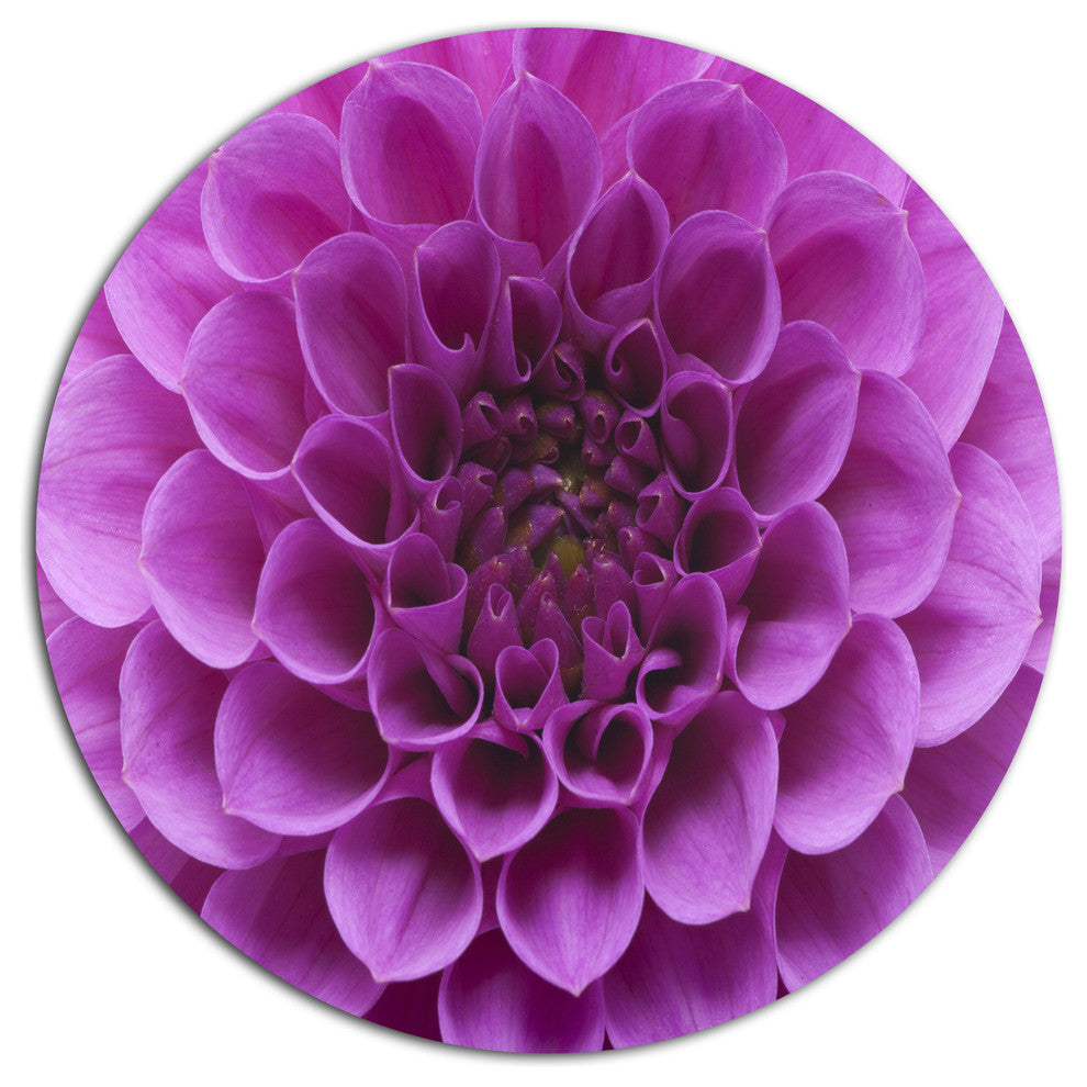 Light Purple Flower And Petals, Modern Floral Round Wall Art, 11"
