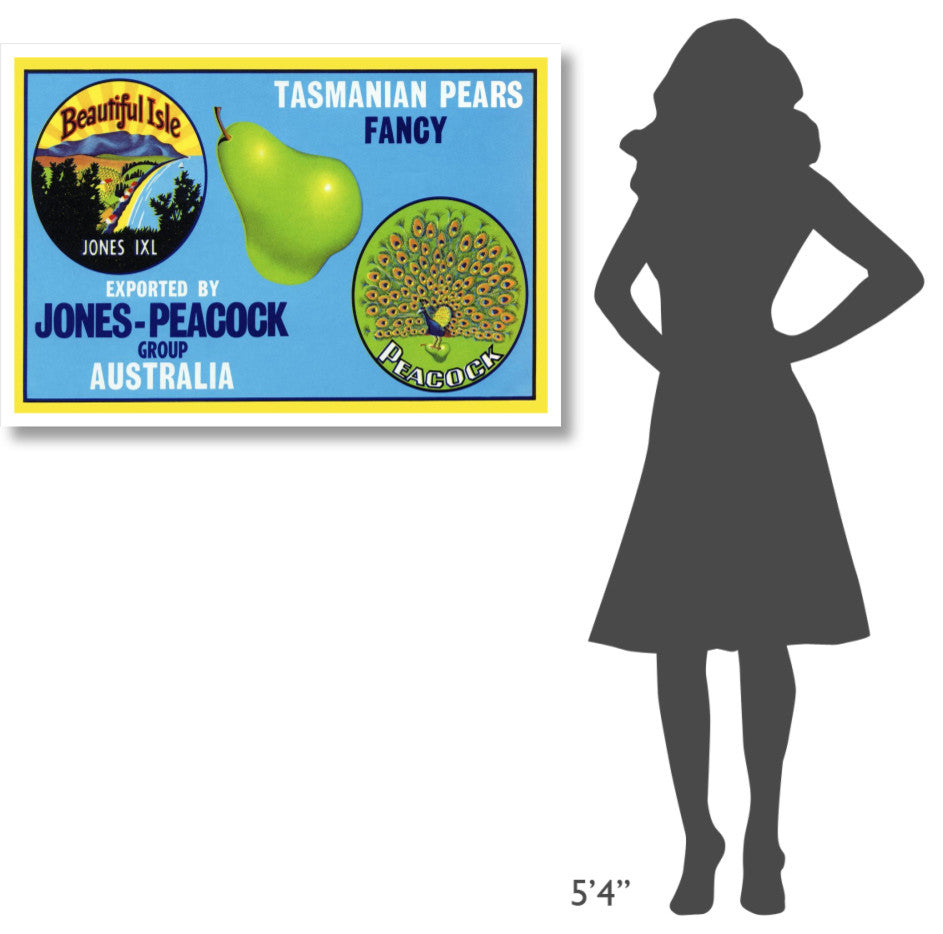 "Jones-Peacock Tasmanian Pears" Digital Paper Print by Retrolabel, 42"x29"