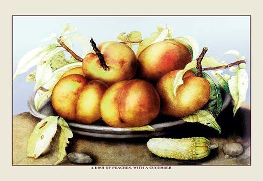 A Dish of Peaches with a Cucumber- Gallery Wrapped Canvas Art 28" x 42"
