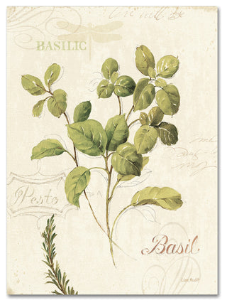 'Aromantique III' Canvas Art by Lisa Audit