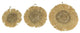 Set of 3 Round Natural Woven Dried Grass Wall Hanging Sculptures Home Decor Art