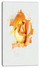 Yellow Rose Flower on White Back, Flower Artwork on Canvas, 16"x32"