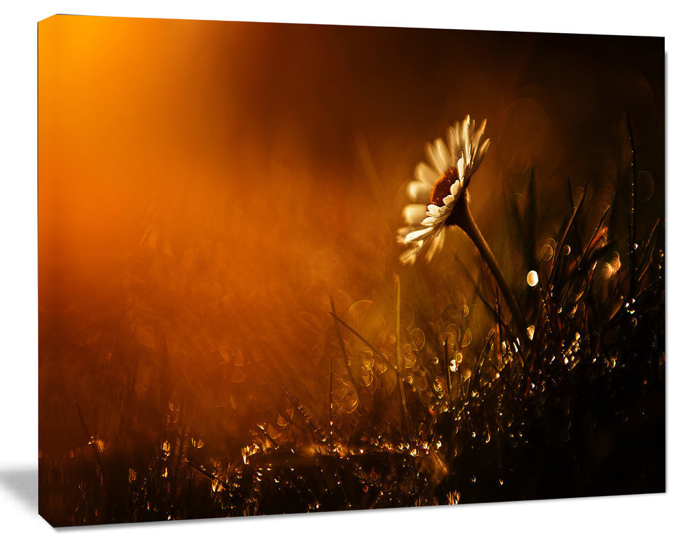 White Wild Flower at Sunset After Rain, Large Floral Canvas Art Print, 40"x30"