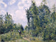 Camille Pissarro Wanderer near the Wood, Gallery Wrapped Canvas Print, 21"x28"