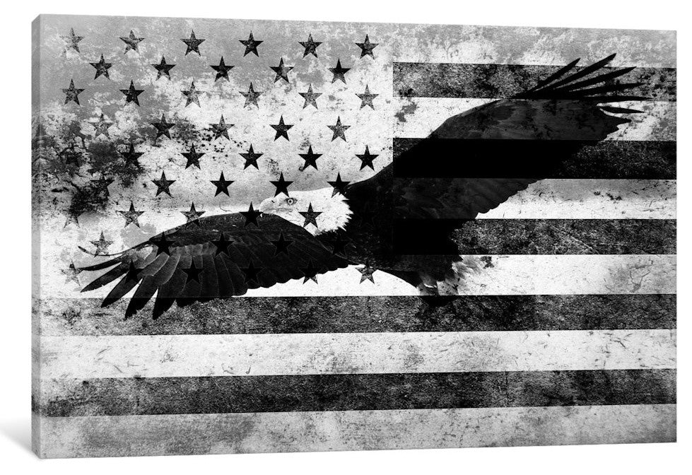 USA "Melting Film" Flag (Bald Eagle)" by iCanvas, 40x26x1.5"