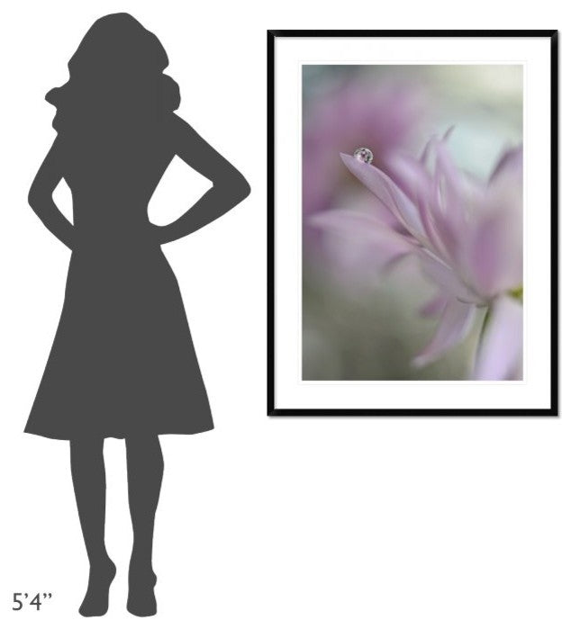 "In Pink Delight" Framed Digital Print by Heidi Westum, 33x44"
