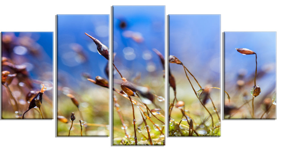 "Abstract Summer Spring Moss Flowers" Landscape Wall Art, 5 Panels, 60"x32"