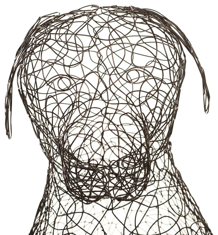 Crazy Wire Retriever, Large