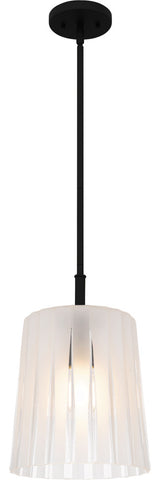 Quoizel RAY1510 Gray 10"W Mini Pendant - Matte Black
