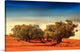 "Dry Creek Dream" Wrapped Canvas Art Print, 36"x22"x1.5"