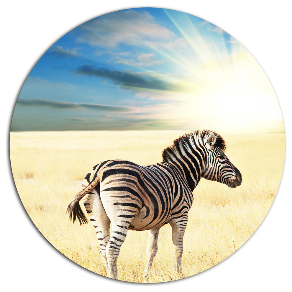 Wandering Zebra At Bright Sunrise, African Round Wall Art, 36"