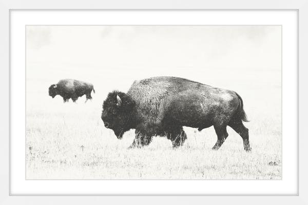 "Buffalo Pair" Framed Painting Print, 24"x16"
