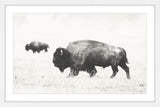 "Buffalo Pair" Framed Painting Print, 24"x16"