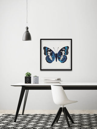 "Dazzling Wings" Framed Painting Print, 12x12