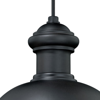 Franklin 10" Outdoor Pendant, Oil Burnished Bronze