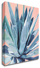 Agave with Coral by Alana Clumeck, Print on Canvas, 32"x40"